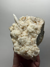 Load image into Gallery viewer, LARGE Sulawesi Golden Speckle Bloom Quartz Cluster | Radiant Quartz Crystal Display Specimen | Indonesia