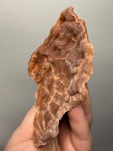 Load image into Gallery viewer, Chalcedony Quartz Rose Agate Collector Mineral Specimen – Morocco