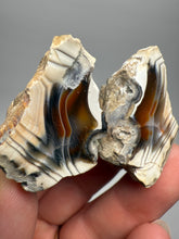 Load image into Gallery viewer, High-Grade Indonesian Sumatra Agate Pair – Vibrant Banded Chalcedony with Rich Color Zoning | Ethical Lapidary & Collector Display Specimens