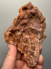 Load image into Gallery viewer, Chalcedony Quartz Rose Agate Collector Mineral Specimen – Morocco