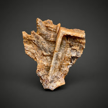 Load image into Gallery viewer, Chalcedony Quartz Rose Agate Collector Mineral Specimen – Morocco
