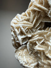 Load image into Gallery viewer, Desert Rose Selenite (Gypsum) — Mineral Display Specimen | Mexico