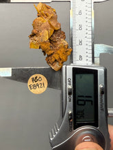 Load image into Gallery viewer, High-Grade Orange Wulfenite Collector Display Specimen | La Morita Mine, Chihuahua, Mexico