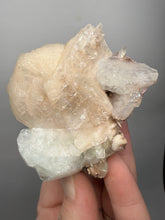 Load image into Gallery viewer, High-Grade Apophyllite on Pink Stilbite Zeolite | Indian Collector Mineral Specimen