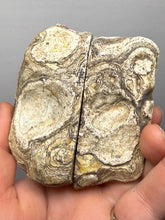 Load image into Gallery viewer, Premium Sumatra Agate Pair (Banded Chalcedony) Display Specimen | Indonesia