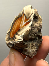 Load image into Gallery viewer, Premium Sumatra Agate (Banded Chalcedony) Display Specimen | Indonesia