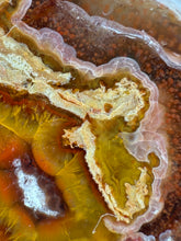 Load image into Gallery viewer, High-Grade Turkish Agate with Botryoidal Chalcedony Vug – Rare Collector’s Gem