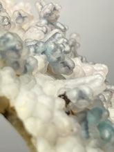Load image into Gallery viewer, Blue-Green Chrysocolla in Botryoidal Chalcedony Cabinet Specimen | Indonesia