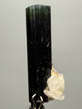 Load image into Gallery viewer, Dark Green Cap Stak Nala Tourmaline and Cleavelandite – Haramosh Mountains, Pakistan | Thumbnail Specimen