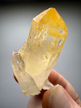 Load image into Gallery viewer, High Grade Golden Iron-Stained Himalayan Quartz Cluster | Rare Pakistan Mineral Specimen | Collector Display Crystal