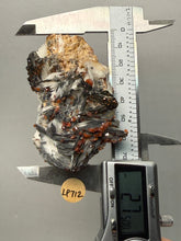 Load image into Gallery viewer, Natural Vanadinite on Matrix | Collector Mineral Specimen | Morocco