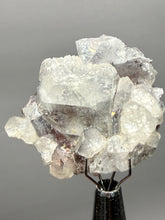Load image into Gallery viewer, Lustrous Apophyllite over Red Heulandite (Zeolite Pocket) — Deccan Traps, Maharashtra, India