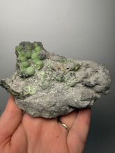 Load image into Gallery viewer, High-Grade Green Wavellite Collectors Specimen - Radiating Botryoidal Crystal Formation - Arkansas, USA