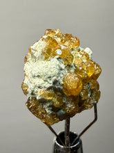 Load image into Gallery viewer, Hessonite Garnet Cluster on Matrix – Thumbnail Collector Specimen from Pakistan | High-Grade Orange-Red Garnet Crystals
