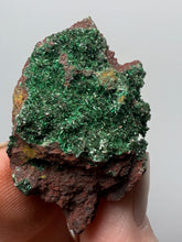 Load image into Gallery viewer, Brochantite Collector Mineral Specimen – Vivid Green Copper Crystals from Morocco