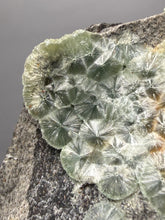 Load image into Gallery viewer, High-Grade Green Wavellite Collectors Specimen - Radiating Botryoidal Crystal Formation - Arkansas, USA