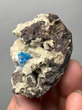 Load image into Gallery viewer, Rare Electric Blue Pentagonite on Druzy Matrix – Collector Mineral Specimen | India