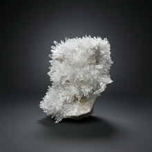 Load image into Gallery viewer, High-Grade Chrysanthemum Quartz (Needle Quartz) Spray Cluster | Jiangxi, China
