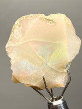 Load image into Gallery viewer, Precious Opal with Color Play | Welo, Ethiopia