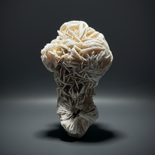 Load image into Gallery viewer, Desert Rose Selenite (Gypsum) — Mineral Display Specimen | Mexico