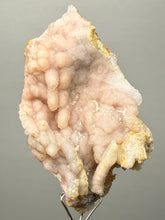 Load image into Gallery viewer, Sunset Goblin Chalcedony Botryoidal Stalactite | Sidi Rahal, Morocco (Western Sahara) Mineral Display Specimen