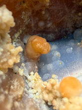Load image into Gallery viewer, “Goblin Chalcedony” Pink & Orange Druzy Botryoidal Stalactites — Tichka Massif, High Atlas, Morocco
