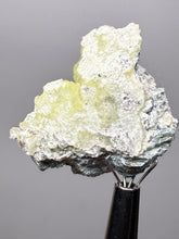 Load image into Gallery viewer, Vibrant Yellow Brucite Thumbnail Mineral Specimen | Collector Crystal from Killa Saifullah District in Balochistan Province, Pakistan