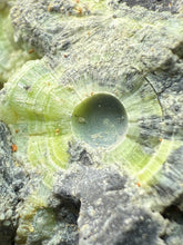 Load image into Gallery viewer, High-Grade Green Wavellite Collectors Specimen - Radiating Botryoidal Crystal Formation - Arkansas, USA