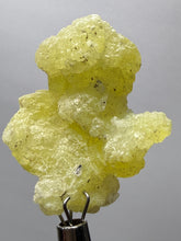 Load image into Gallery viewer, Vibrant Yellow Brucite Thumbnail Mineral Specimen | Collector Crystal from Killa Saifullah District in Balochistan Province, Pakistan