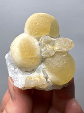Load image into Gallery viewer, Rare Botryoidal Yellow Fluorite on Quartz Matrix Collector Mineral Specimen – Maharashtra, India