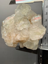 Load image into Gallery viewer, High-Grade Apophyllite on Pink Stilbite Zeolite | Indian Collector Mineral Specimen