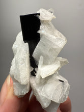 Load image into Gallery viewer, Dark Green Cap Stak Nala Tourmaline with Cleavelandite Matrix – Haramosh Mountains, Pakistan