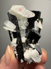 Load image into Gallery viewer, Blue Cap Dark Green Stak Nala Tourmaline on Cleavelandite Matrix – Haramosh Mountains, Pakistan
