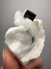 Load image into Gallery viewer, Dark Green Cap Stak Nala Tourmaline on Cleavelandite Matrix – Haramosh Mountains, Pakistan