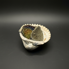 Load image into Gallery viewer, Bivalve (Pelecypoda) Fossil Sea Shell with Chalcopyrite | Mineralized Fossil Specimen | Indonesia