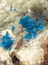 Load image into Gallery viewer, Rare Electric Blue Pentagonite on Druzy Matrix – Collector Mineral Specimen | India