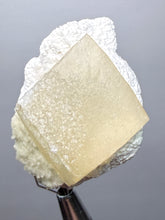 Load image into Gallery viewer, Rare Druzy Golden “Diamond” Calcite on Zeolite Matrix — Maharashtra, India | Collector Cabinet Specimen