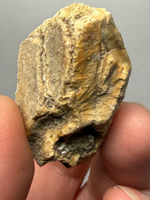Load image into Gallery viewer, Premium Sumatra Agate (Banded Chalcedony) Display Specimen | Indonesia