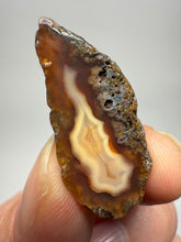 Load image into Gallery viewer, Polished Malawi Agate Half – African Banded Agate Display Specimen