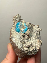 Load image into Gallery viewer, Rare Electric Blue Cavansite on Druzy Matrix – Collector Mineral Specimen | India