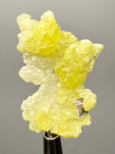 Load image into Gallery viewer, Vibrant Yellow Brucite Thumbnail Mineral Specimen | Collector Crystal from Killa Saifullah District in Balochistan Province, Pakistan