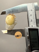 Load image into Gallery viewer, Rare Botryoidal Yellow Fluorite on Quartz Matrix Collector Mineral Specimen – Maharashtra, India