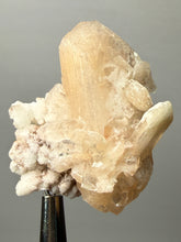 Load image into Gallery viewer, High-Grade Pink Stilbite + Apophyllite + Red Heulandite Zeolite | Indian Collector Mineral Specimen
