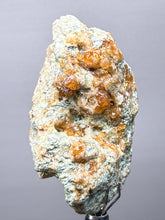 Load image into Gallery viewer, Hessonite Garnet Cluster on Matrix – Natural Collector Specimen from Pakistan | High-Grade Orange-Red Garnet Crystals