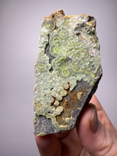 Load image into Gallery viewer, High-Grade Green Wavellite Collectors Specimen - Radiating Botryoidal Crystal Formation - Arkansas, USA