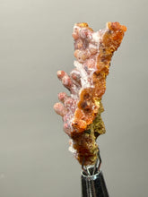 Load image into Gallery viewer, “Goblin Chalcedony” Pink and Red Druzy Botryoidal Stalactites — Tichka Massif, High Atlas, Morocco