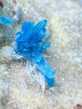 Load image into Gallery viewer, Rare Electric Blue Pentagonite on Druzy Matrix – Collector Mineral Specimen | India