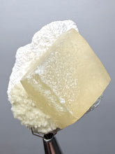 Load image into Gallery viewer, Rare Druzy Golden “Diamond” Calcite on Zeolite Matrix — Maharashtra, India | Collector Cabinet Specimen