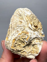Load image into Gallery viewer, Premium Sumatra Agate (Banded Chalcedony) Display Specimen | Indonesia