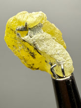 Load image into Gallery viewer, Vibrant Yellow Brucite Thumbnail Mineral Specimen | Collector Crystal from Killa Saifullah District in Balochistan Province, Pakistan